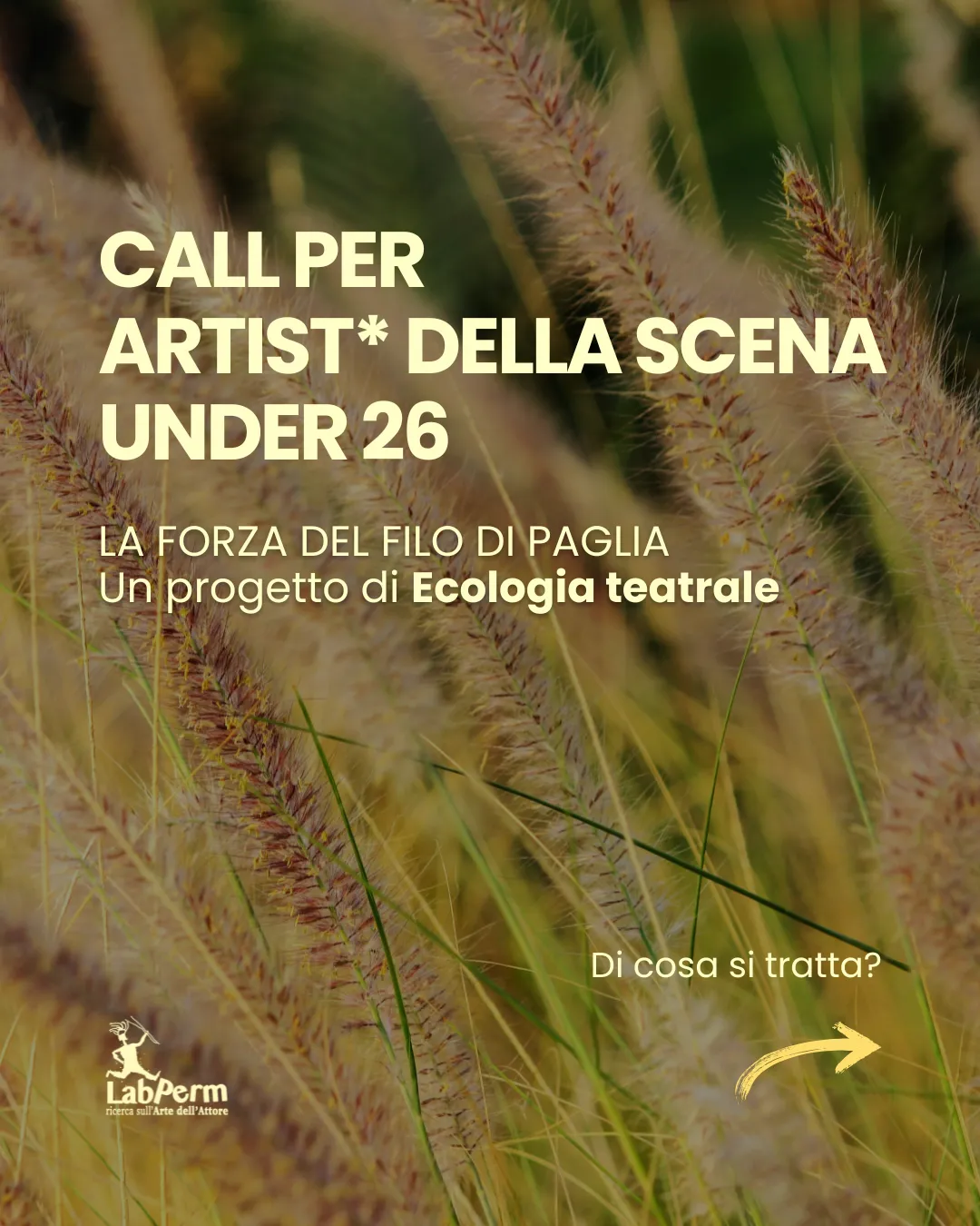 Call la forza del filo di paglia